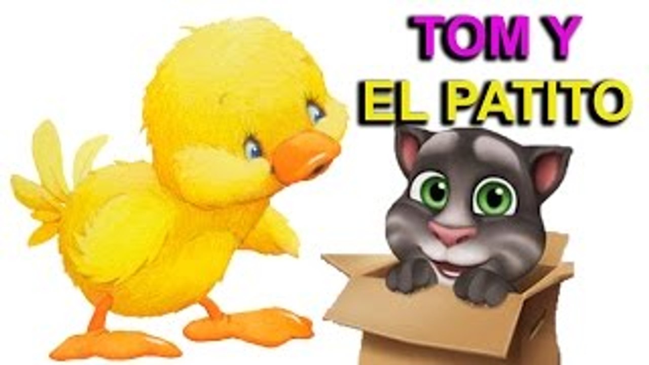 TOM Y LOS PATITOS Canciones Infantiles BabyKids