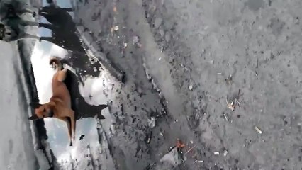 Вот это событие!