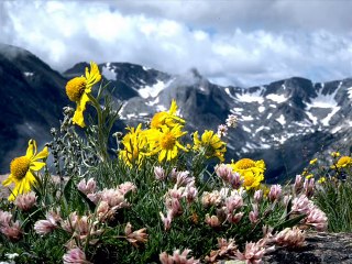 Awesome Great music - Amazing Song With Amazing