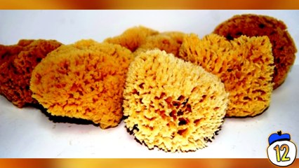 15 Weirdest Birth Control Throughout History