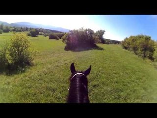 Retarded Running Horse Original