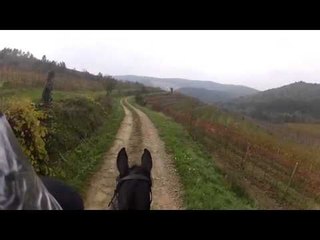 NATURE | Horse and Rider | Rio's Big Polo Match | PBS