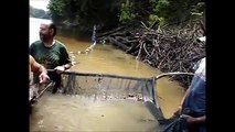 Amazon Nehrinde Yabani Discus Avı