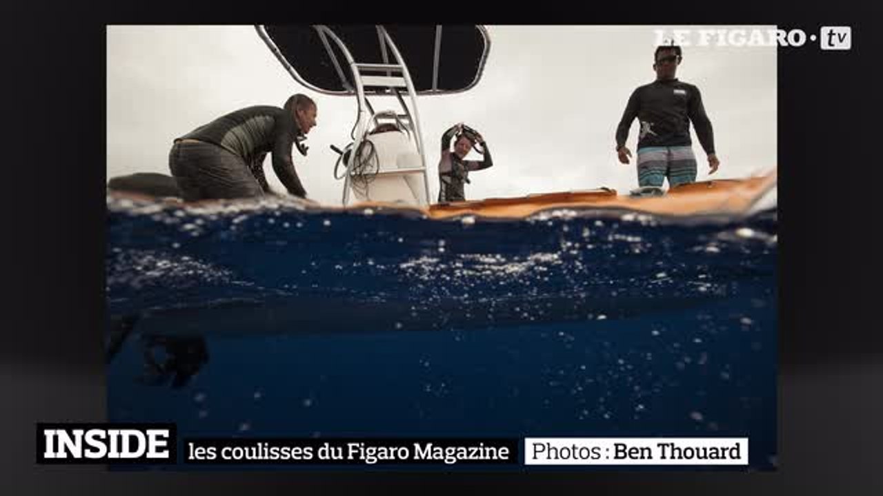 Plongée extraordinaire en Polynésie française avec les baleines à bosse