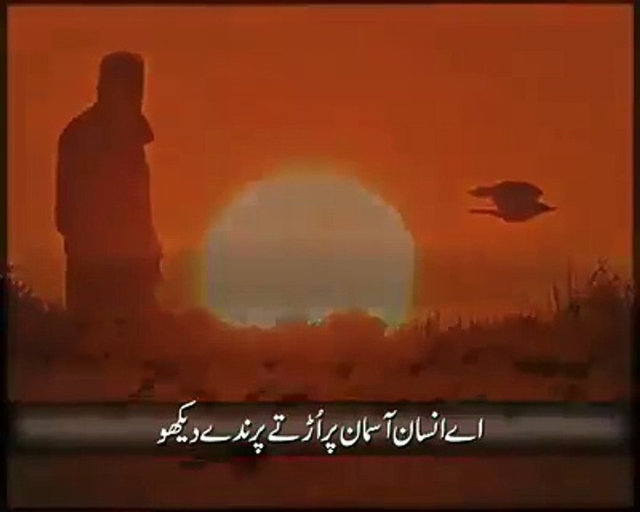 Silent Messageبندے ہی بھوکے مردے نے۔۔۔۔