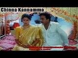Chinna kannamma | Tamil Full Movie | Karthik, Gouthami, Suhasini, Nassar, Shamili