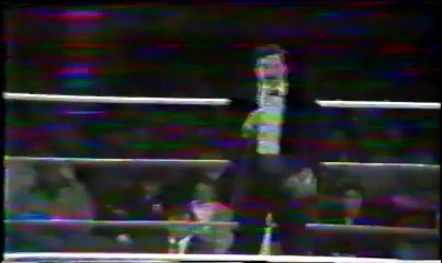 Curt Hennig vs Rick Steiner