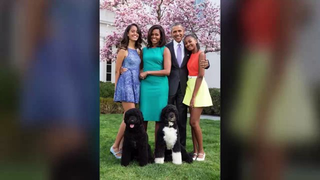 Armed Man Arrested for Attempting to Kidnap The Obama Family Dogs