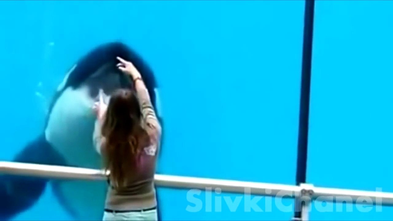 ЛУЧШИЕ ПРИКОЛЫ 157