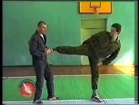 Удары. Защита от ударов 11 Система Кадочникова