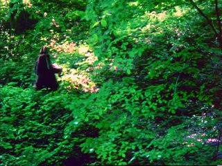 The Haunted Pastures