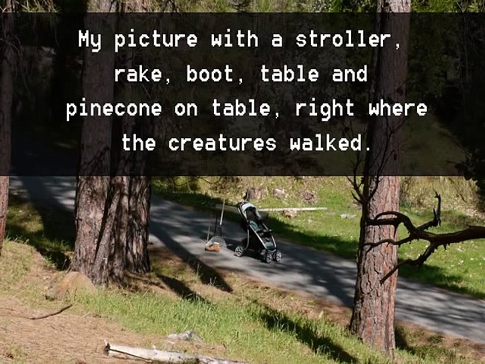 Strange Alien Stick-like creatures caught on security camera above Fresno in Yosemite (Video Tests)