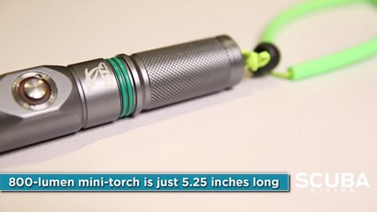 IST Sports Luma LED Torch