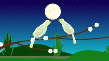 Night Birds Are Singing A lullaby for babies, toddlers, children, and grown ups