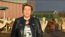 Het Weer: Harma bie de boer [8-1-2016] - RTV Noord