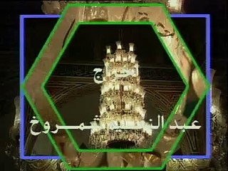 الشيخ الشعراوي- تفسير سورة القصص، (آية ٢٣- ٣١)