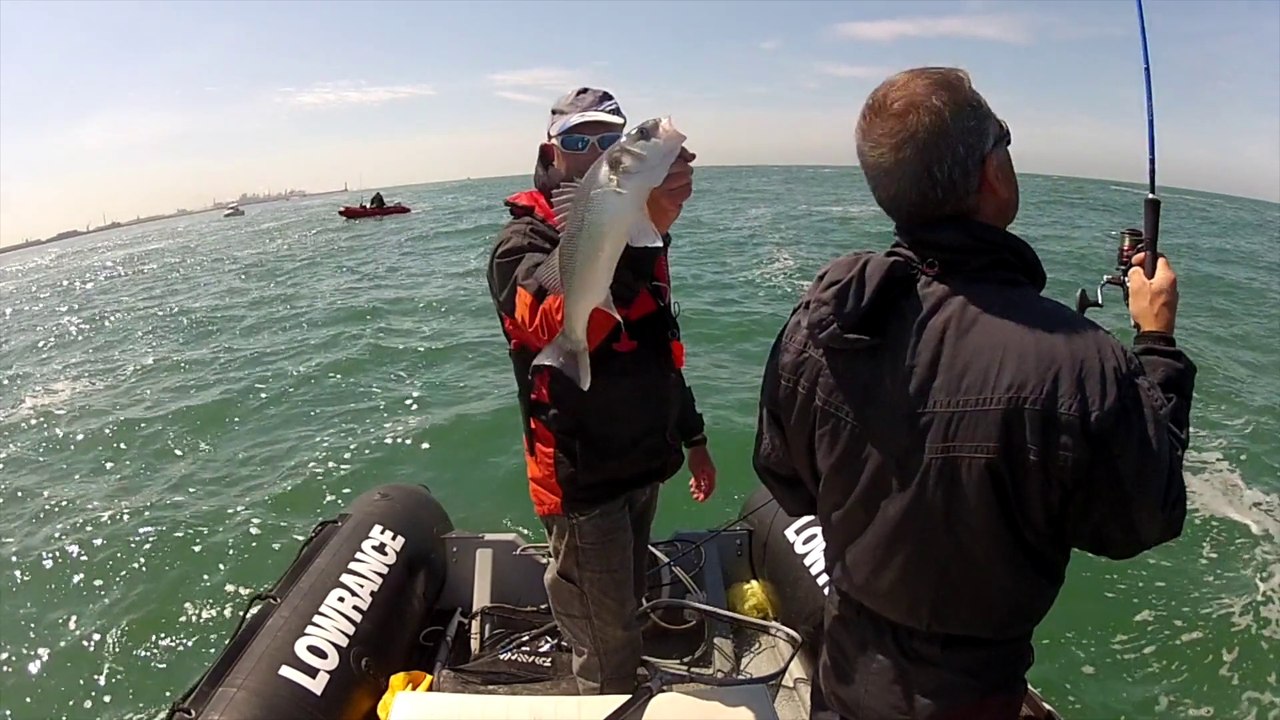 Mai 2015 Bars et morues en verticale, gros temps à la fin