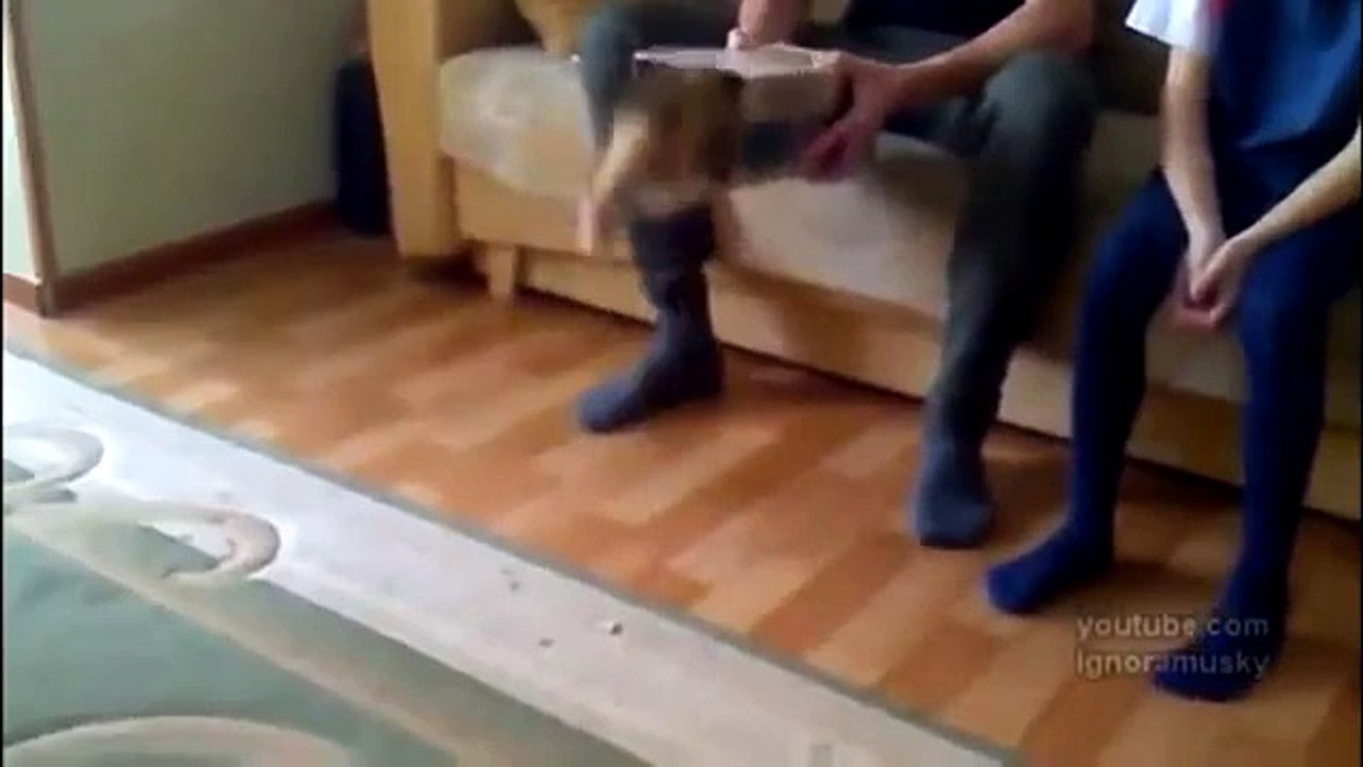 ⁣Top 10 Best Funny Epic Fail cats Videos 2014|Смешная подборка приколов с котами