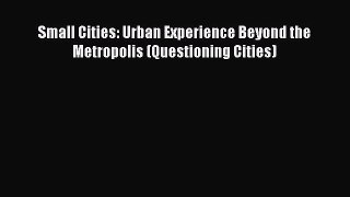 PDF Download Small Cities: Urban Experience Beyond the Metropolis (Questioning Cities) Download