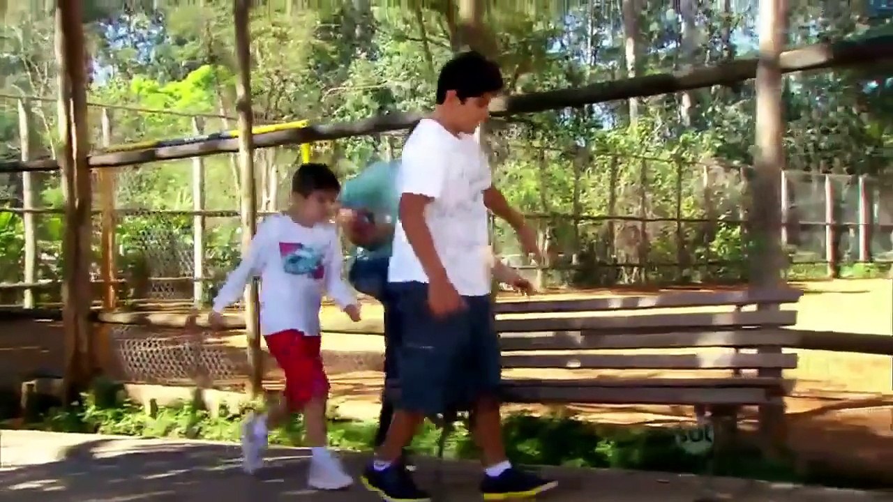Carrossel 25/11/15 Capítulo 183 Completo HD