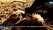 Zombies, Morts Vivants Et Cannibalisme [Documentaire ParaNormal]