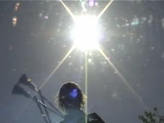 Flower Sticking Tranquility Preview