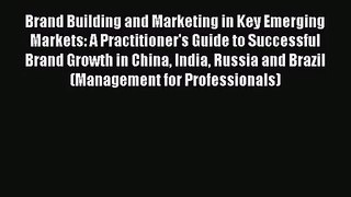 Brand Building and Marketing in Key Emerging Markets: A Practitioner's Guide to Successful