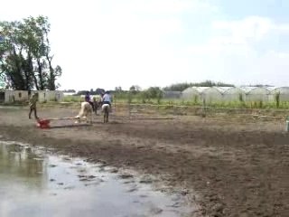 parcour cso galop 4