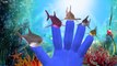 Sharks Cartoons AttacKing People And Singing Finger Family Nursery Rhymes For Children