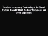 Southern Insurgency: The Coming of the Global Working Class (Wildcat: Workers' Movements and