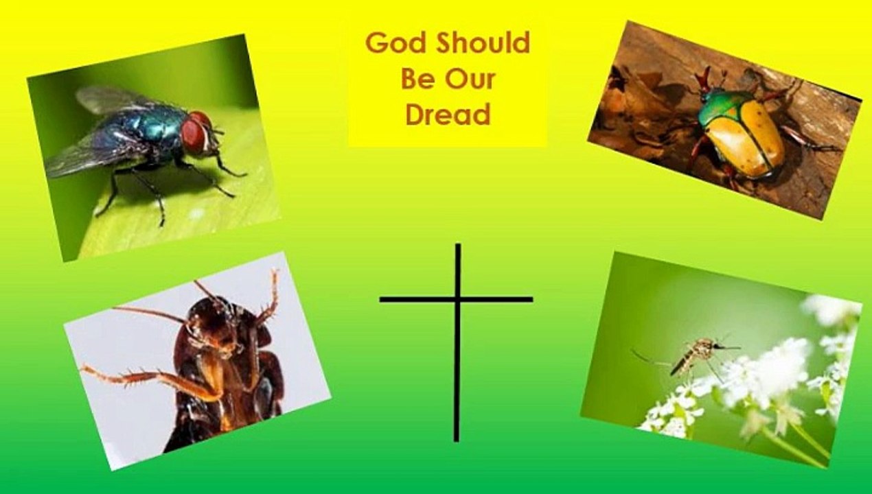 Traits of a Jezebel Spirit Part 1