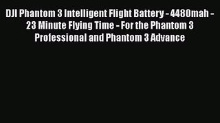 DJI Phantom 3 Intelligent Flight Battery - 4480mah - 23 Minute Flying Time - For the Phantom