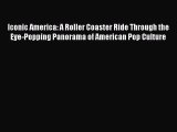 Iconic America: A Roller Coaster Ride Through the Eye-Popping Panorama of American Pop Culture