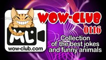The Best Jokes and Funny Animals. Compilation WOW-club #0116