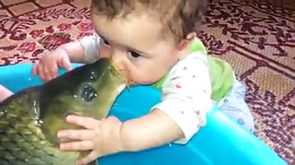 Love of KID and Fish
