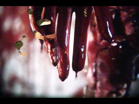 shake those juicy ripe mangoes edit