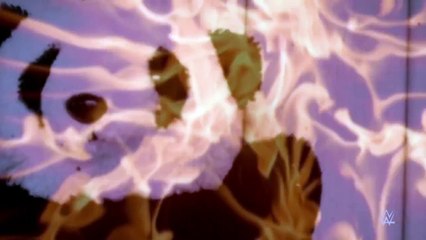 They didn’t believe him: Superstar Ghost Stories