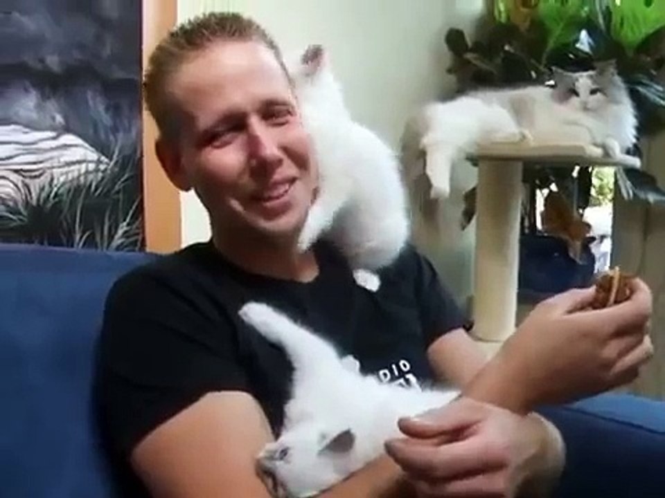 リトル子猫は、この男を愛し