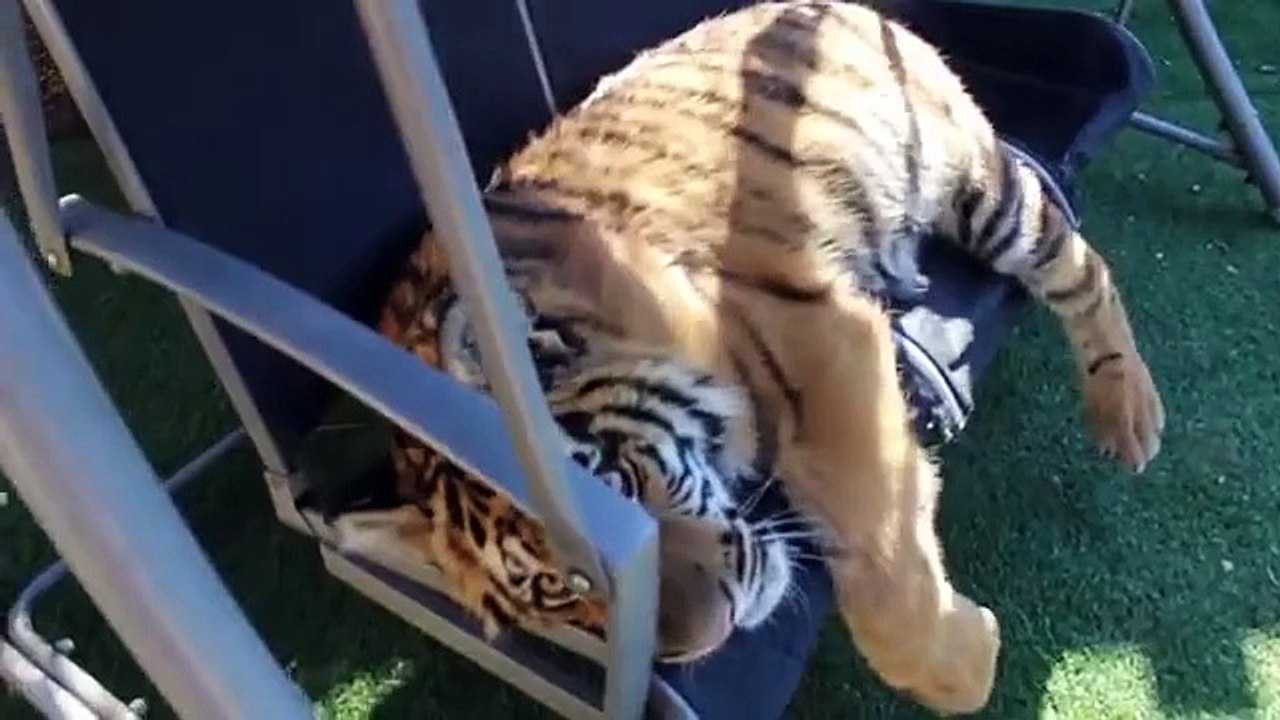 閉じるカブ