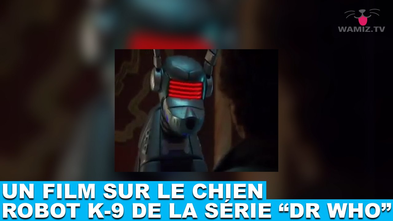 Un film sur le chien robot K-9 de la série "Dr Who" ! À découvrir dans la minute chien #93