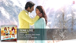 Tere Liye Full Song (Audio) 'SANAM RE'  Pulkit Samrat, Yami Gautam, Divya khosla Kumar
