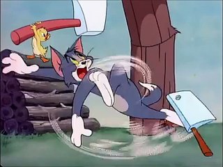 TomandJerry 47 Episode  Little Quacker 2016 uploaded Dailymotion My BUNNY BUGS
