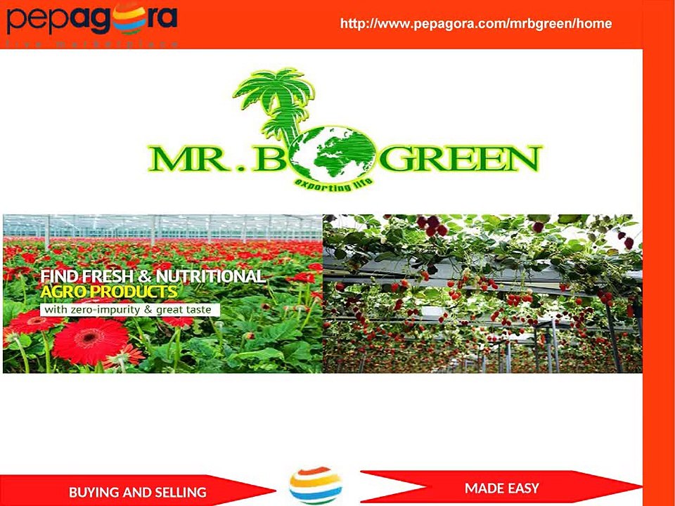 MR.B GREEN-Madurai, India on www.pepagora.com
