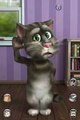 лучшие флэш игры для детей Talking Tom Cat 2 Flash Game the best games for children