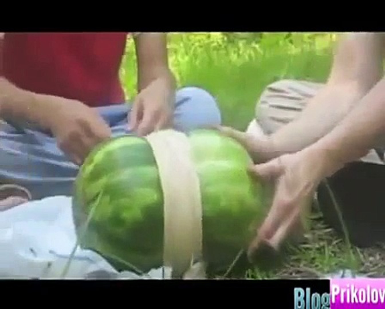 Смешно! приколы