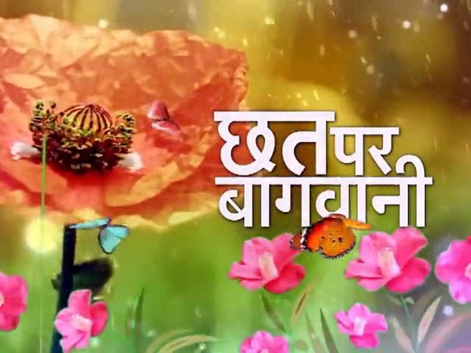 छत पर बागवानी | Chhat Par Bagwani  (26-12-2015)