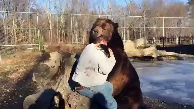 Un homme qui n'a pas froid aux yeux s'amuse avec un énorme grizzli