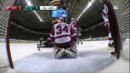 Red Wings @ Sharks Highlights 01/07/16