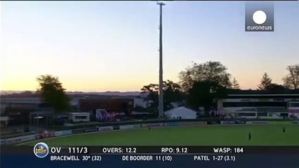Cricket fan makes incredible $4000 catch