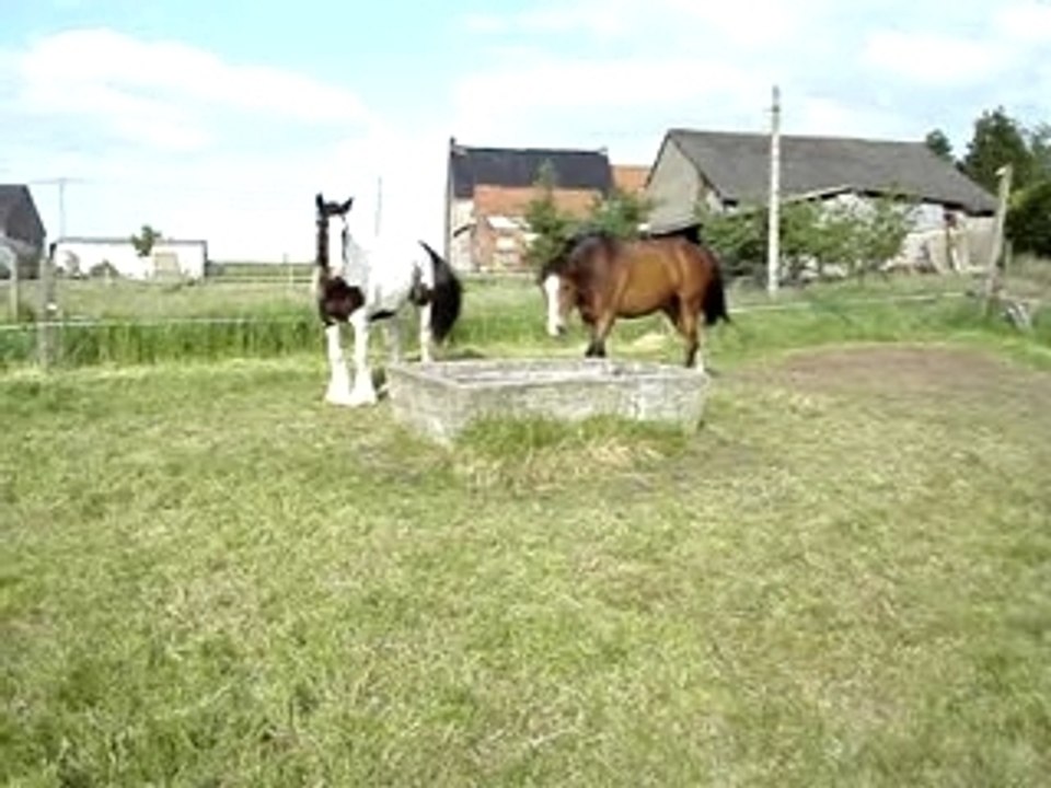 MOV00069